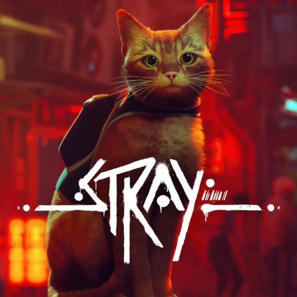 Stray Steam Account